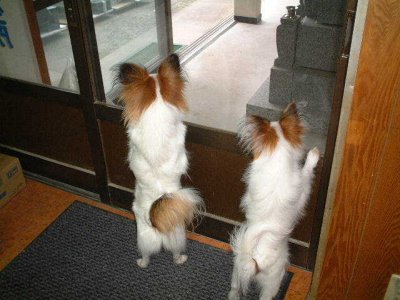 ����違���[��